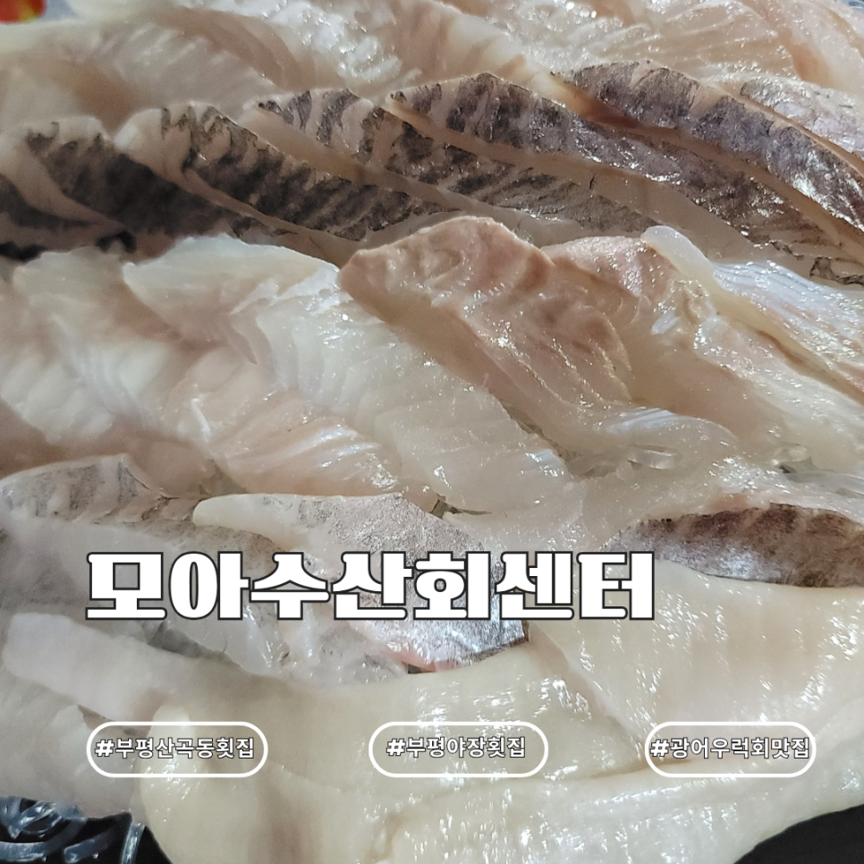 모아수산회센터 사진 1