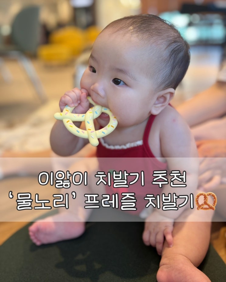  이앓이 치발기추천 | '물노리' 프레즐 치발기 후기