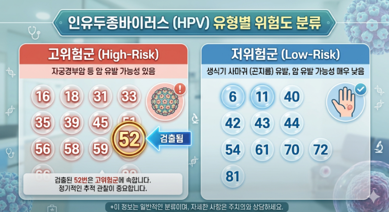 HPV 고위험군 52번 발견부터 원추절제술까지, 내가 실천해야 하는 자궁경부암 예방 과정