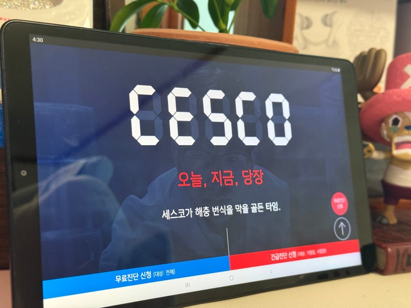 세스코 쥐 방역 솔루션, 비용이 얼마인지 알아봤어요