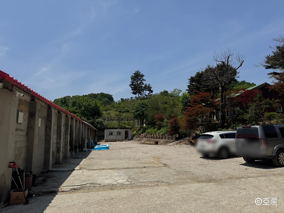 599버거 사진 6