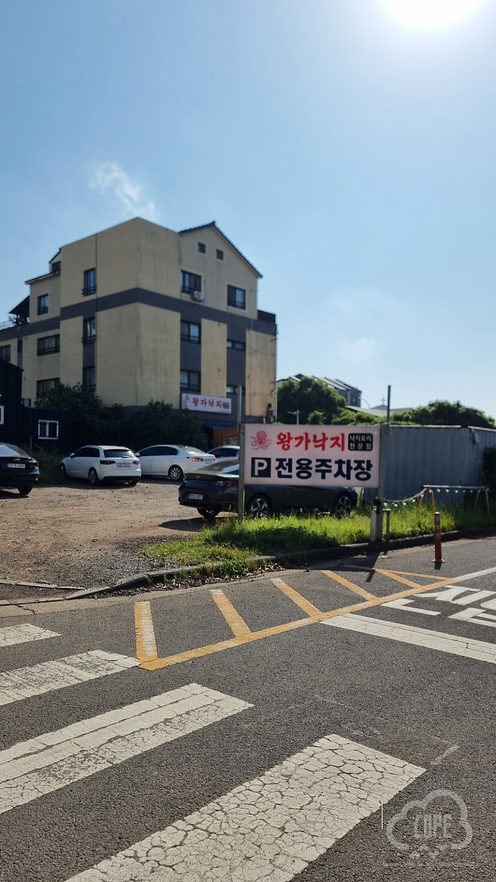 왕가낙지 사진 2