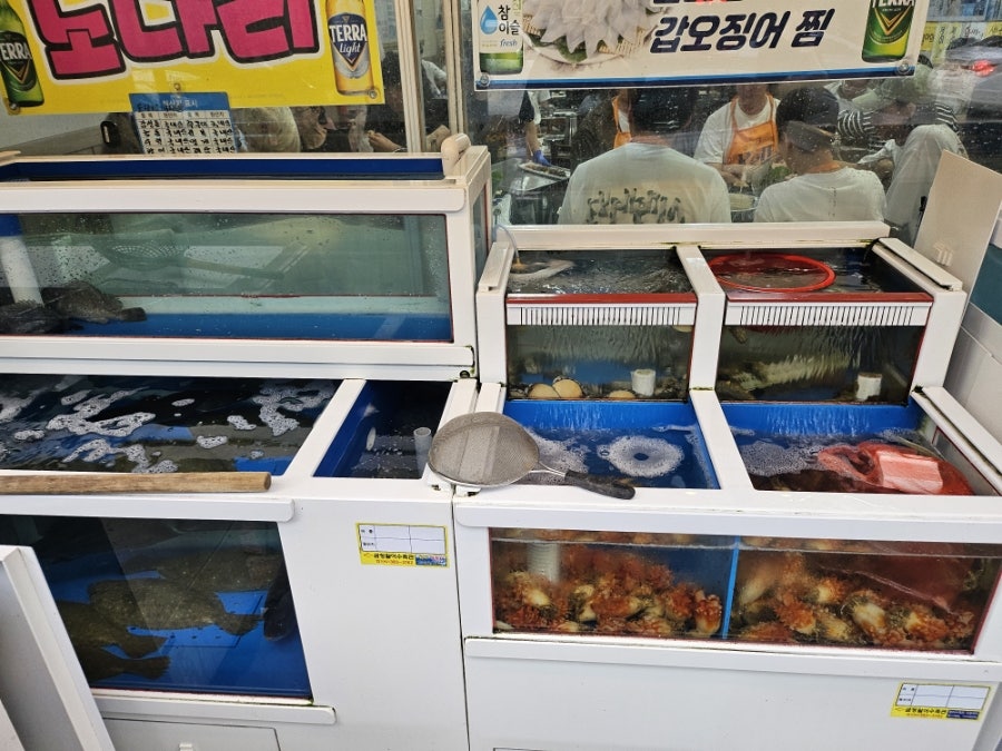 꽃섬 사진 5