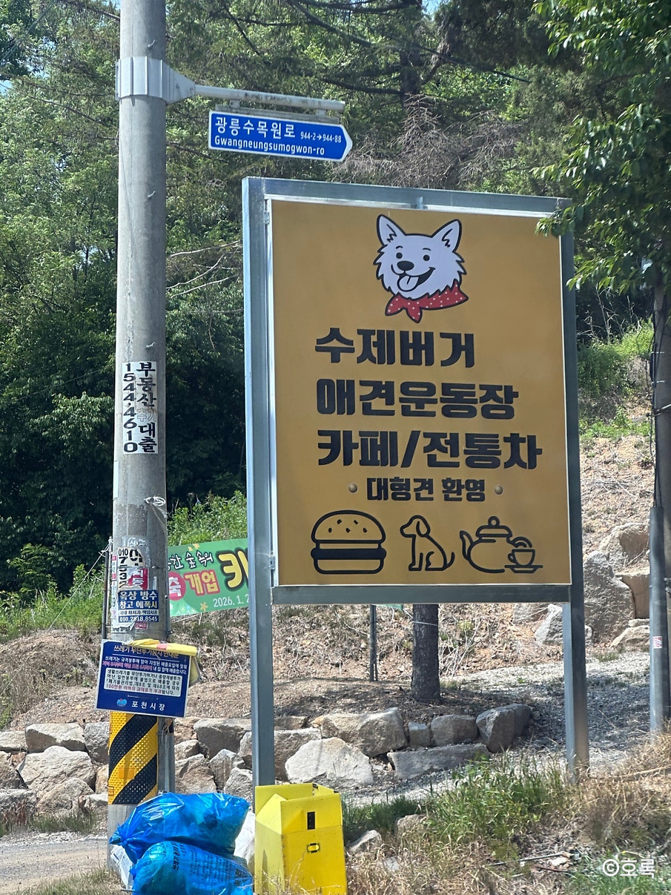 599버거 사진 3