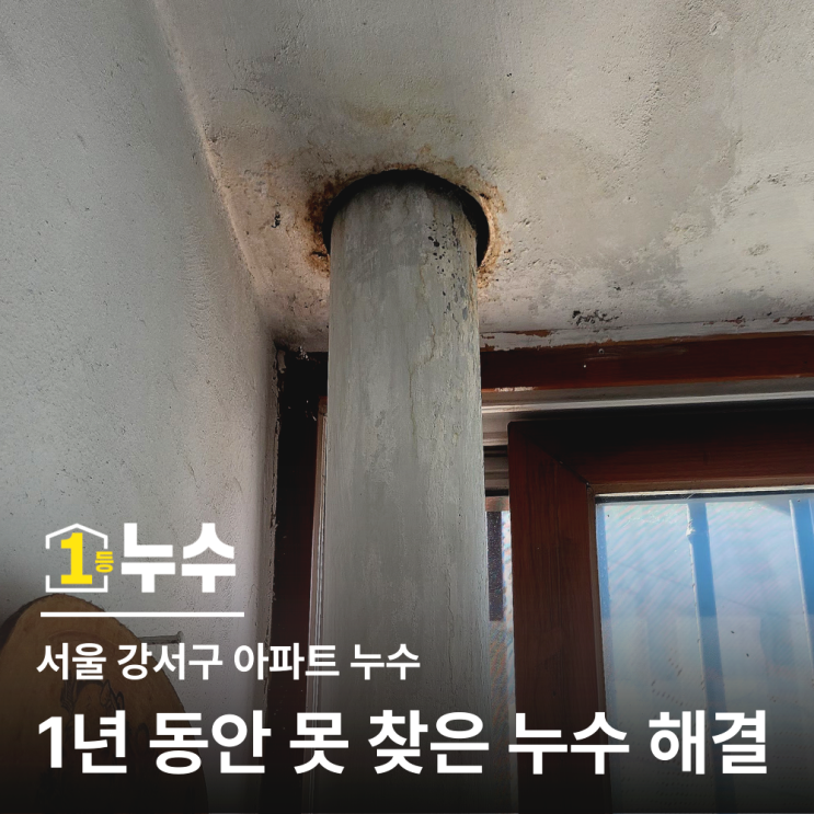  인천 마전동 누수탐지｜1년 동안 못 찾은 아파트 베란다 천장 누수 해결 현장
