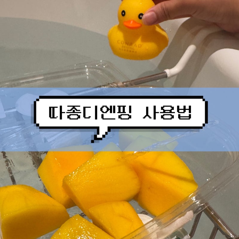 [중국 여행] 필수앱 따종디엔핑 사용법 예약 결제