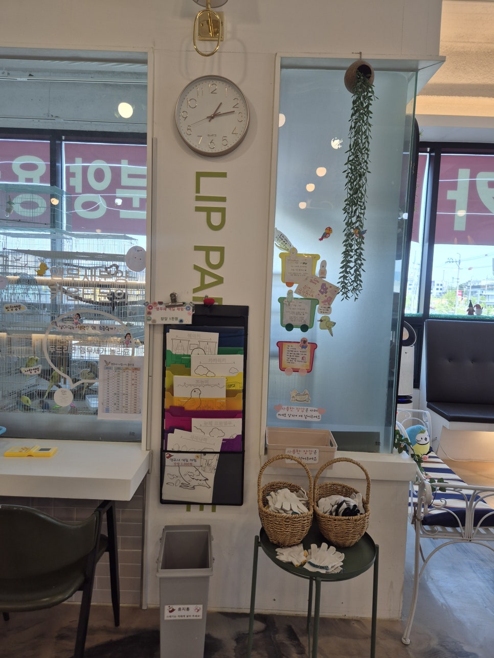 리프패럿 광주월곡점 사진 4