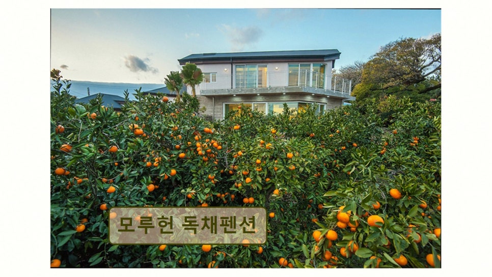 모루헌 사진 2