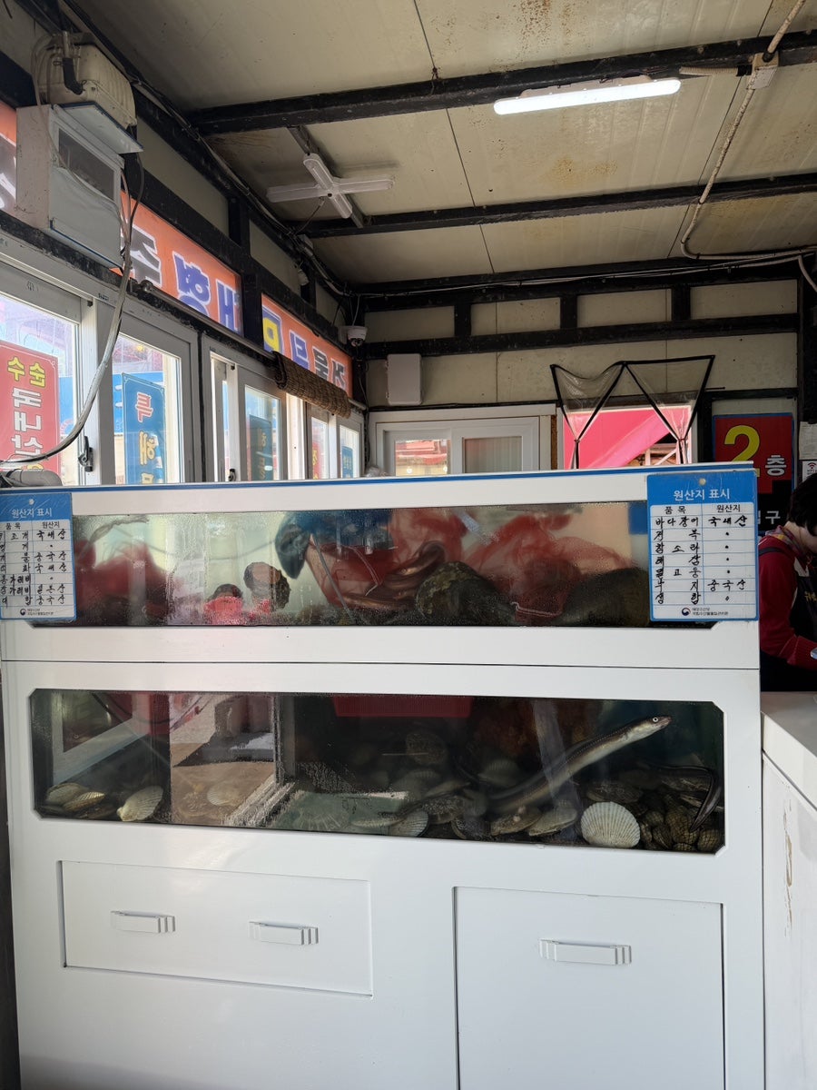 우리이모집 사진 3