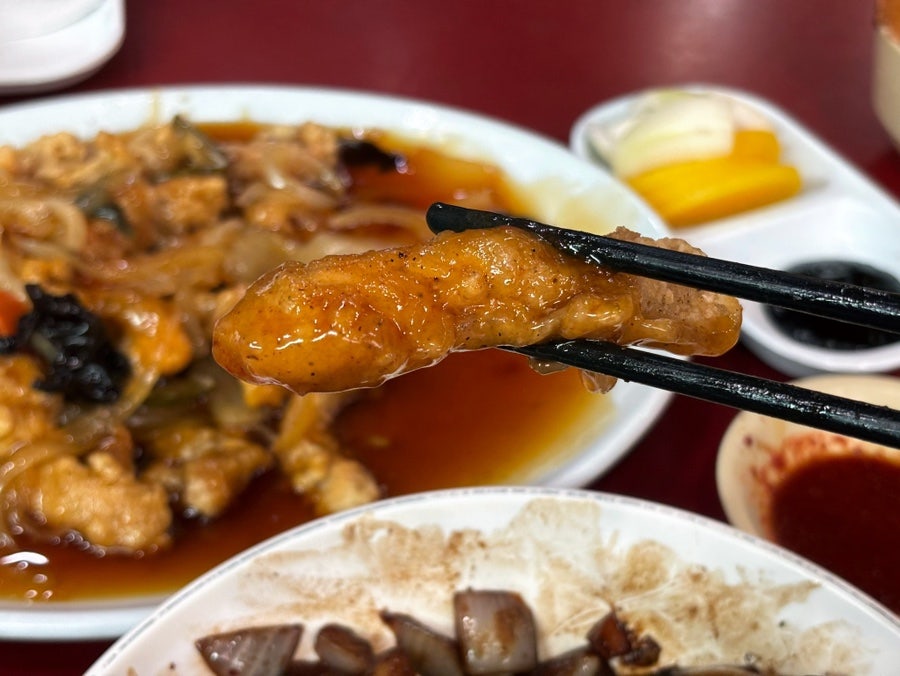 향원 사진 5