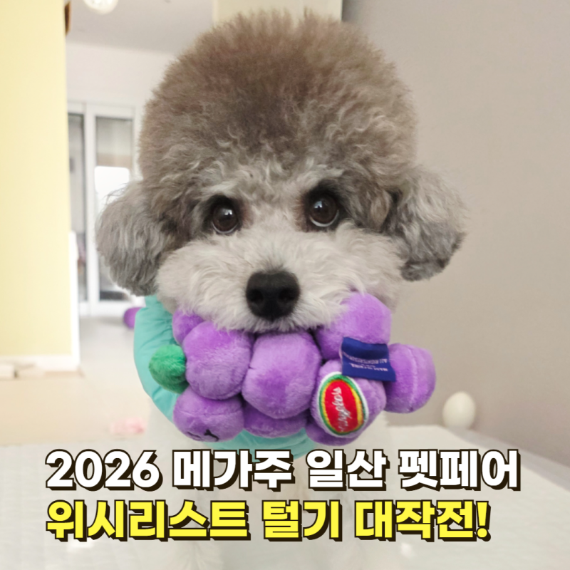 2026 메가주 일산 가기 전 필수! 지갑 열리게 만드는 케이펫페어 위시리스트 TOP 10