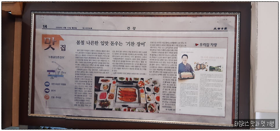 기통찬장어 사진 4