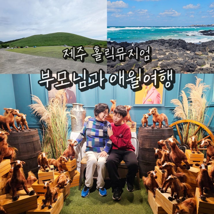  부모님과 제주 여행 2박3일 코스 제주도 애월 볼거리