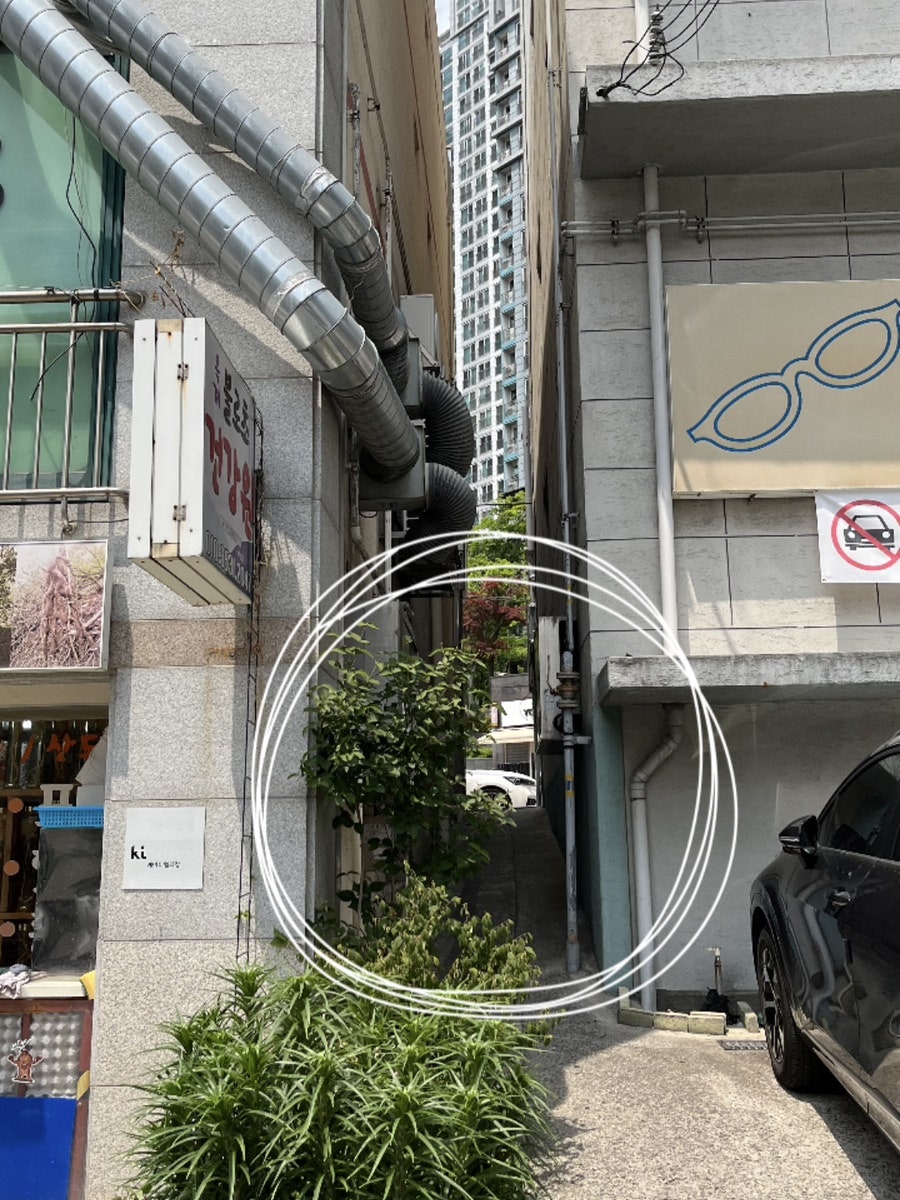 보드미동물병원 사진 3