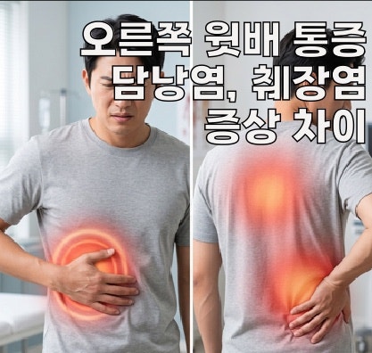오른쪽 윗배 통증, 담낭염 췌장염 증상차이 | 췌장 망가지기 전 나타나는 갈비 안쪽 시그널
