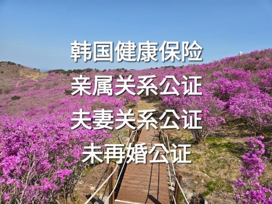 한국에 6개월 이상 체류하면 건강보험에 당연 가입됩니다.(2019. 7. 16부터 시행중)