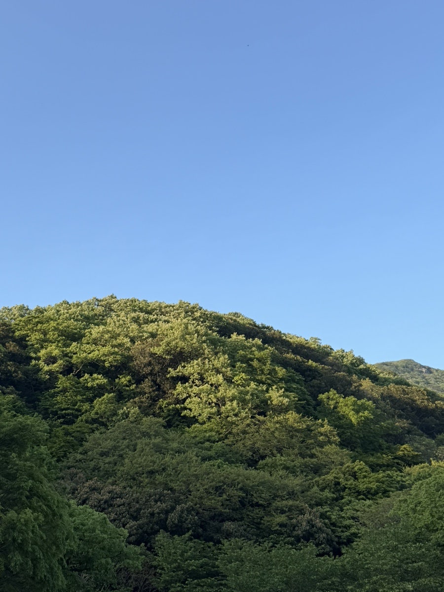 소망식당 사진 2