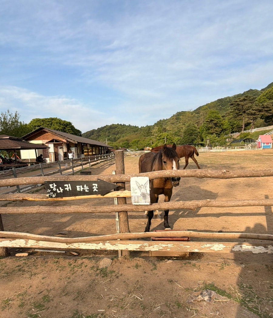 괴이산 사진 4