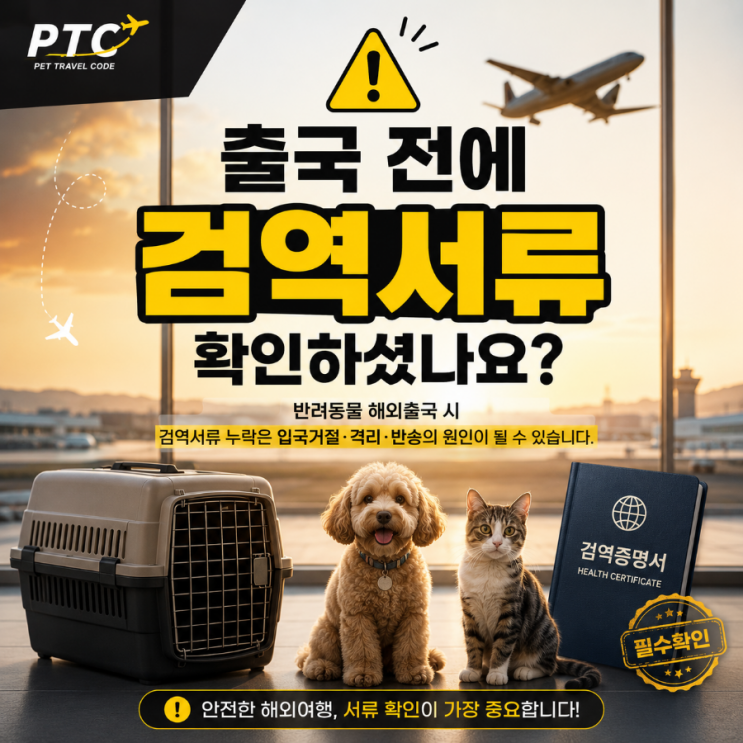  ️ 출국 전 검역서류 확인하셨나요?｜강아지·고양이·대형견 해외이동 필수 체크