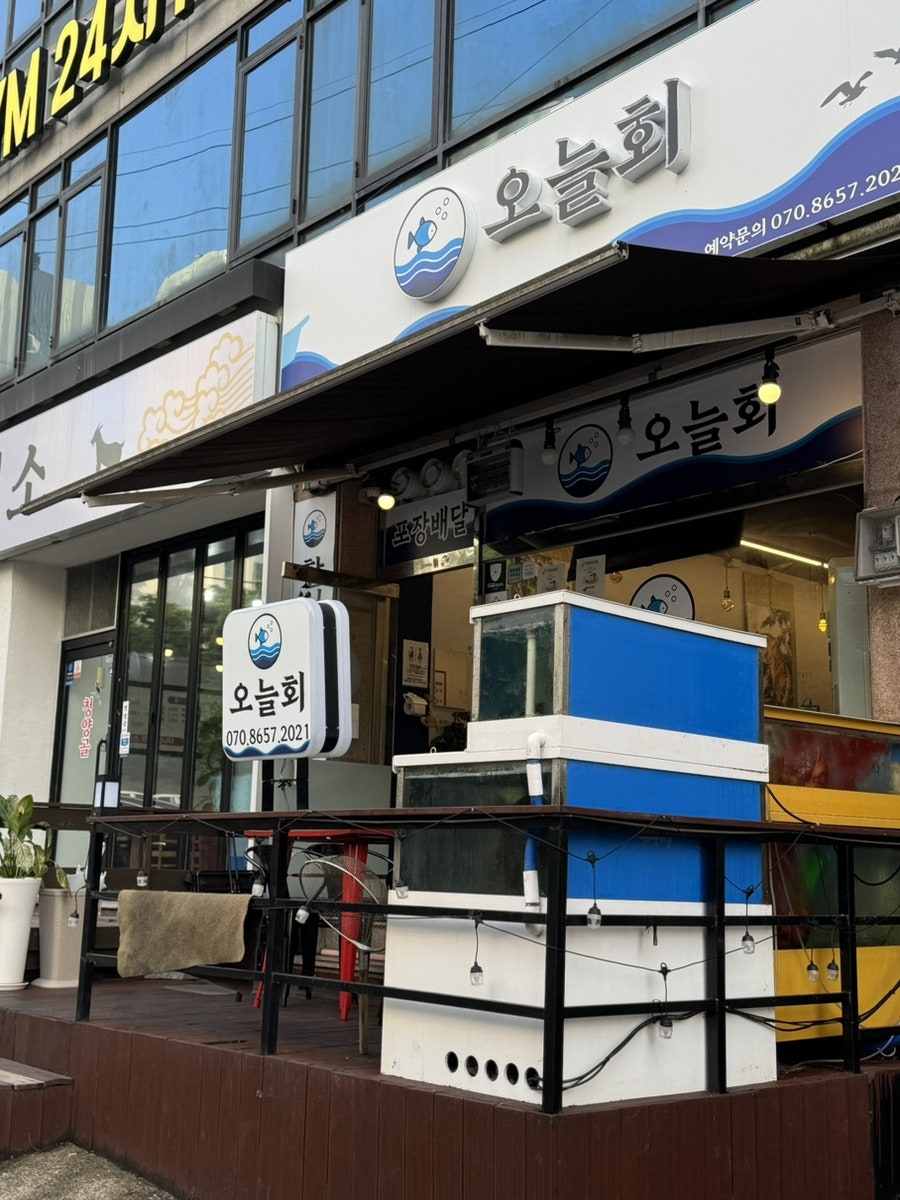 오늘회 사진 3