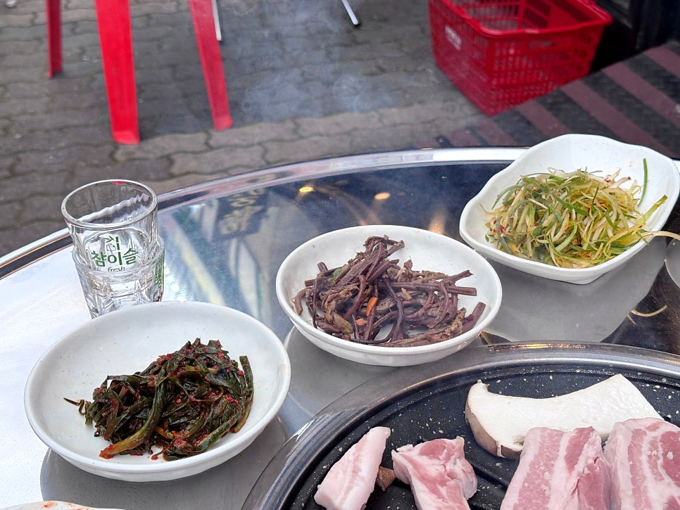 황금돼지 사진 6