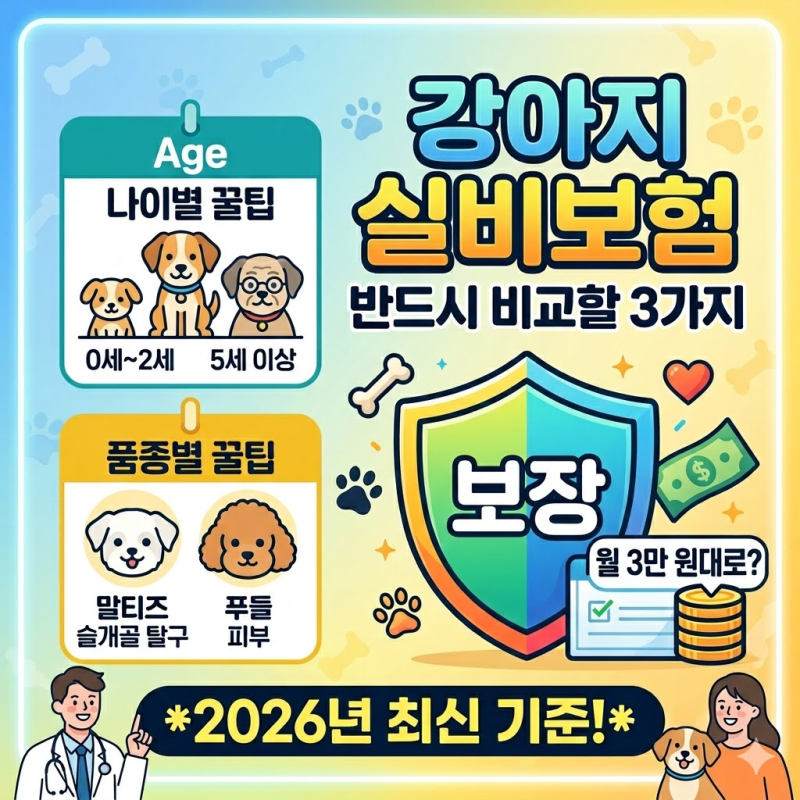 "월 3만 원대로?" 강아지 실비보험 가입 전 반드시 비교해야 할 3가지 (나이별·품종별 꿀팁)