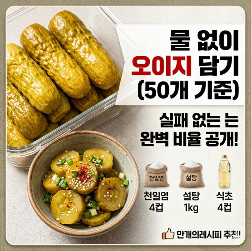 물없이 오이지 50개 담기법, 실패 없는 황금비율