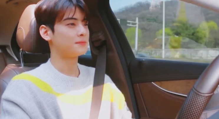  "이게 더 충격" 차은우, 200억 세금 속 슈퍼 SUV 람보르기니 우루스