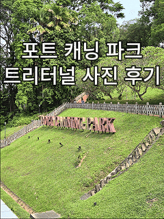  싱가포르 포트캐닝 파크 후기｜트리터널 웨이팅·위치·사진 꿀팁 총정리