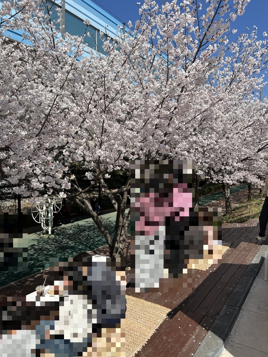 오엠엠 사진 3