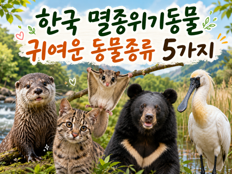  한국 멸종위기동물 귀여운 동물종류 5가지