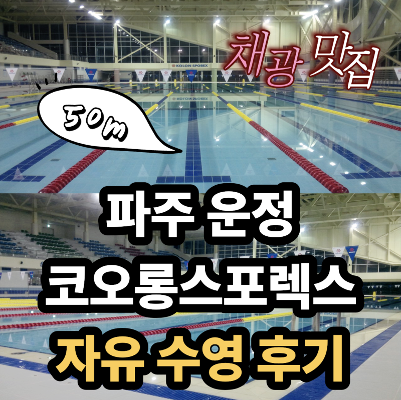 코오롱스포렉스 운정(운정스포츠센터), 서울 근교 파주 주말 자유수영, 50미터 풀 오리발, 킥....