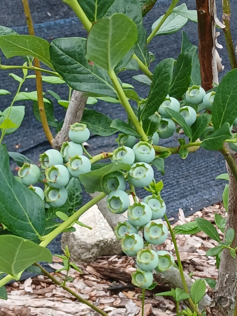 싸리목골 사진 3