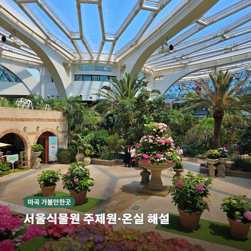 마곡 서울식물원 주제원·온실 해설｜관람 동선·입장료·예약 방법