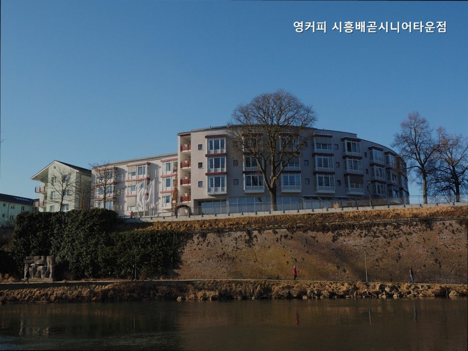 영커피 시흥배곧시니어타운점 사진 3