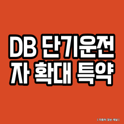 DB손해보험 단기 운전자 확대 특약 가입 방법과 비용: 여자친구에게 차 빌려줄 때 필수 체크....