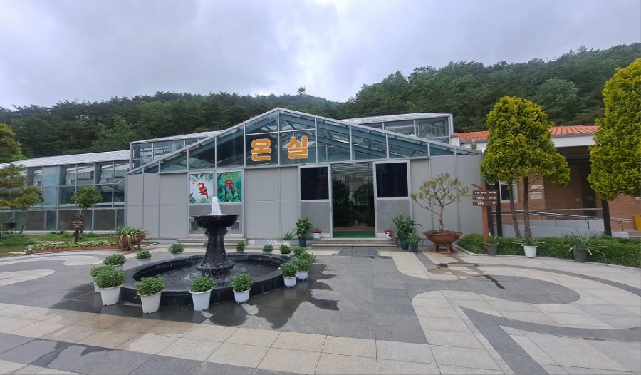 거기돈가스 사진 4