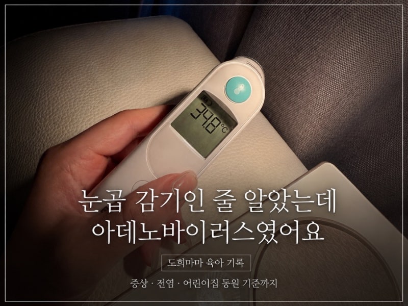 아데노바이러스란? 증상부터 전염, 어린이집 등원까지 엄마가 꼭 알아야 할 정보