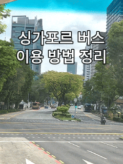  싱가포르 버스 이용 방법 총정리｜보타닉 가든 174번 실제 후기 (카드결제·요금 비교)