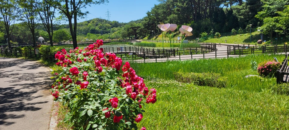 솔마루 사진 5