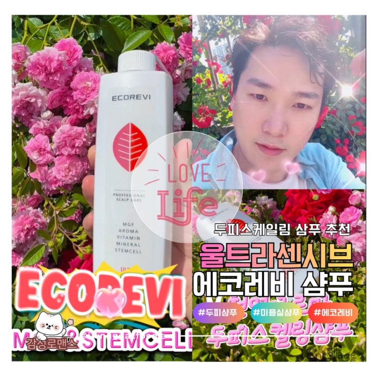  에코레비 울트라센시티브 500ml 건성 두피 스칼프 친환경 천연 샴푸 후기