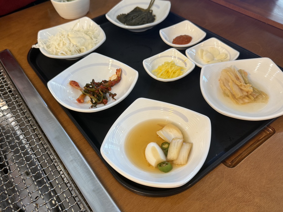 거대장어 사진 5
