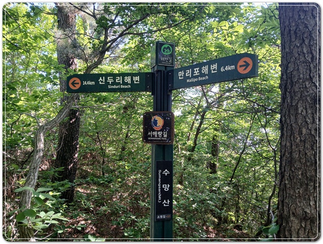 수망산 사진 2
