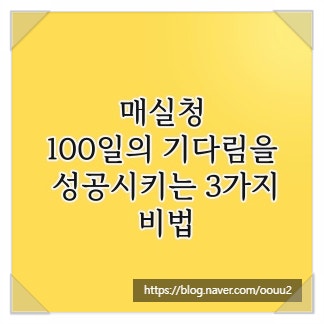 매실청, 100일의 기다림을 성공시키는 3가지 비법