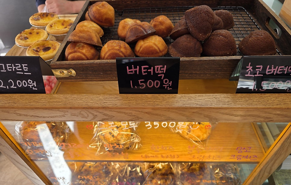 스콘파크 사진 4