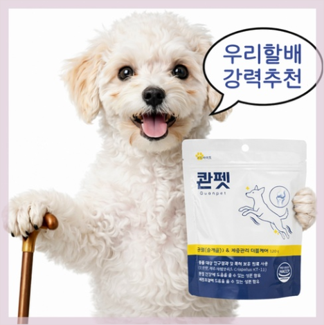 강아지 고양이 관절 건강을 위한 선택, 안티놀 래피드와 콴펫으로 챙기는 활력