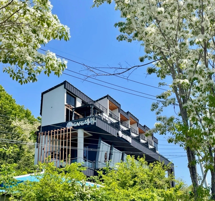 해월 사진 2