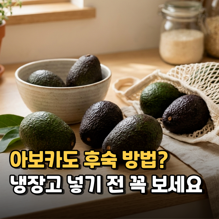 아보카도 후숙방법 기간 며칠? 효능, 먹는법까지 총정리