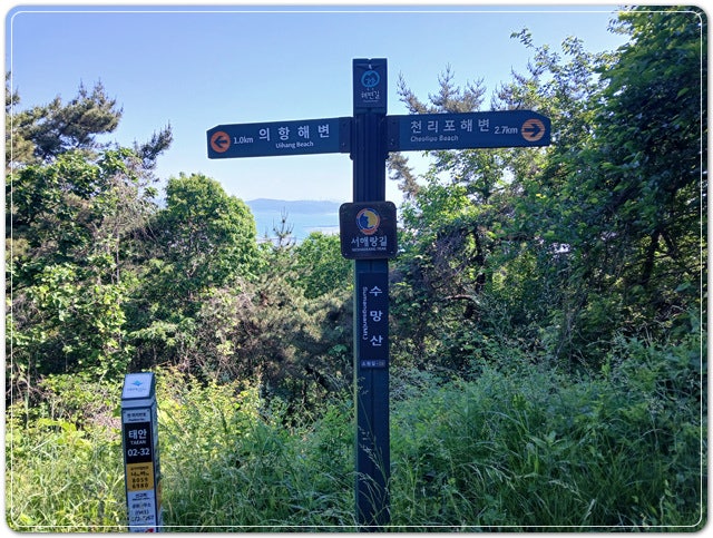 수망산 사진 3