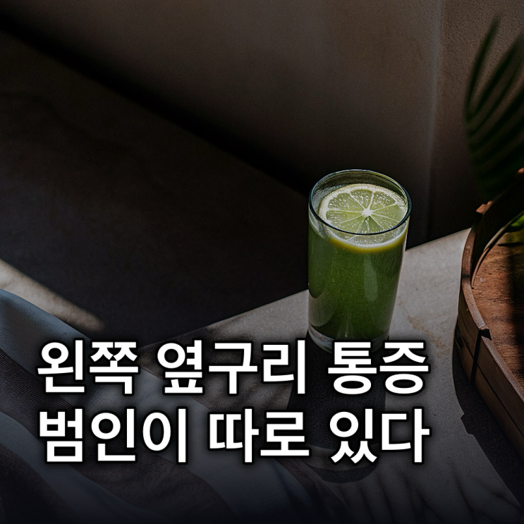  왼쪽 옆구리 통증? 원인, 증상, 병원, 대처법
